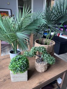 Artificial Plants