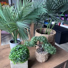 Artificial Plants