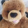 34 inch large fluffy bear Image 2