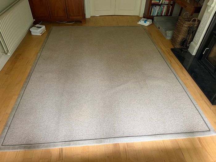 Large Grey/Taupe Carpet  Neutral Textured Design