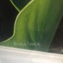 Arum Lily- Nicola Lynch Morrin Image 5