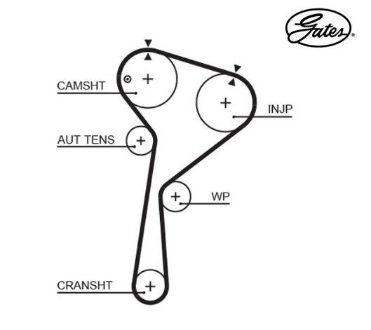 Timing Belt Kit to suit Renault/Nissan 1.5 dCi