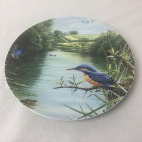 Wedgwood collectors kingfisher decorative plate