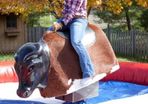 RODEO Bull ..Bucking Bronco GS Engineering