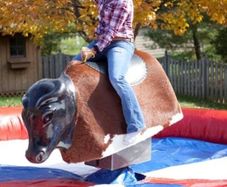 RODEO Bull ..Bucking Bronco GS Engineering