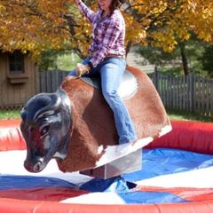 RODEO Bull ..Bucking Bronco GS Engineering