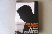 The Story Of B S Johnson - Like A Fiery Elephant