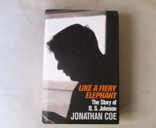 The Story Of B S Johnson - Like A Fiery Elephant