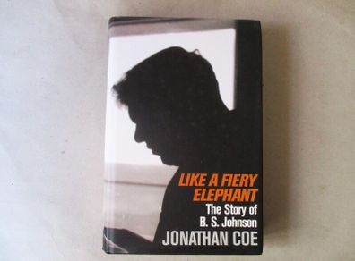 The Story Of B S Johnson - Like A Fiery Elephant
