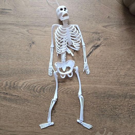 Rubber mini skeleton 30cm