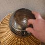 light shade Image 4
