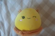 bijan octopus squishmallow