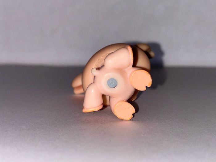littlest pet shop (LPS) Pig bundle!