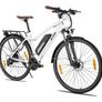 Joykie EHD023 Electric Bike Image 2