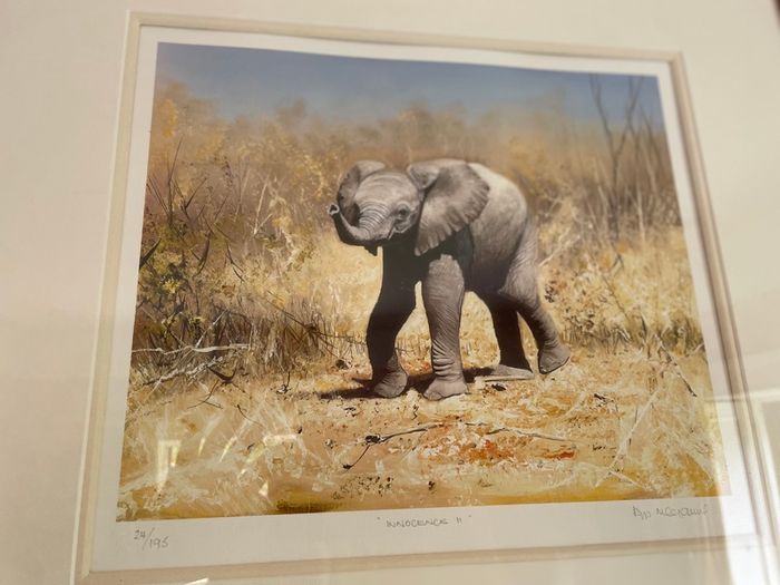 Elephant print PIP McGarry