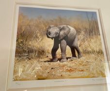 Elephant print PIP McGarry