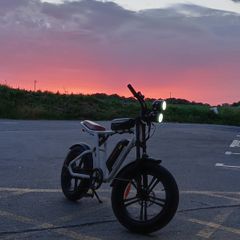 Electric bicycle