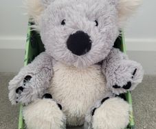 Warm and Cozy Heatable Animal - Koala