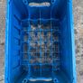 Vintage Guinness 24 Bottle Crate Image 3