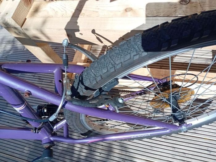 adults bike