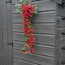 hanging artificial flower Image 2