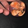 1999 Glass Eye Studio Purple Flower Paperweight Image 4
