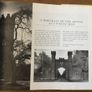 James Joyce- Reflections of Ireland. Image 6