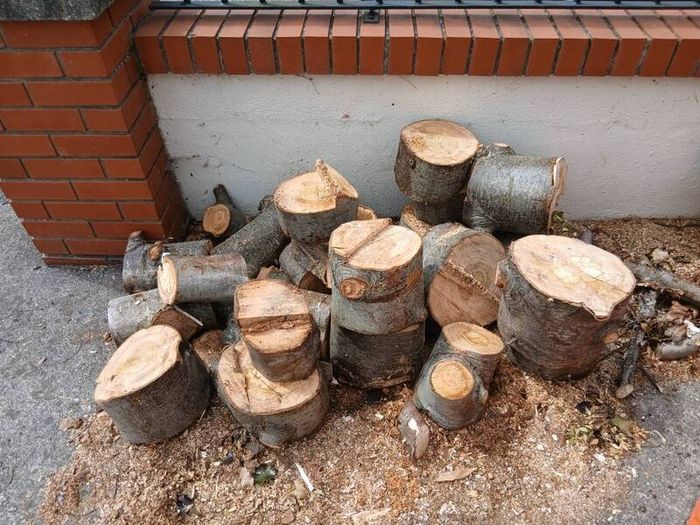 Beech fire wood....open to offers