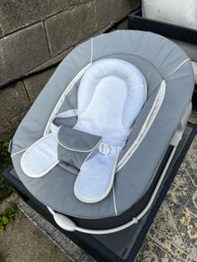 Hauck Alpha Bouncer