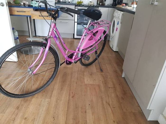 ladies bike( one gear fixie)