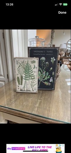 2 Book Storage boxes