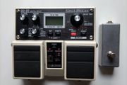 Boss DD20 Digital Delay