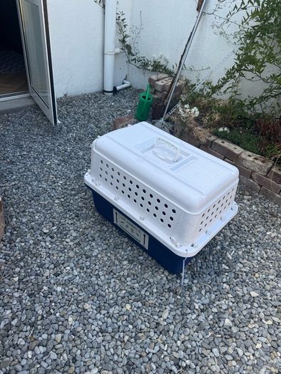 IATA-approved pet carrier - small/medium dogs - mint condition