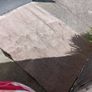 Carpet Image 2