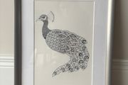 Peacock print in frame