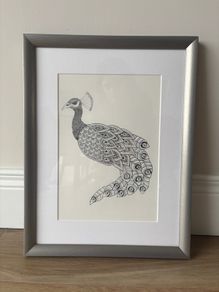 Peacock print in frame