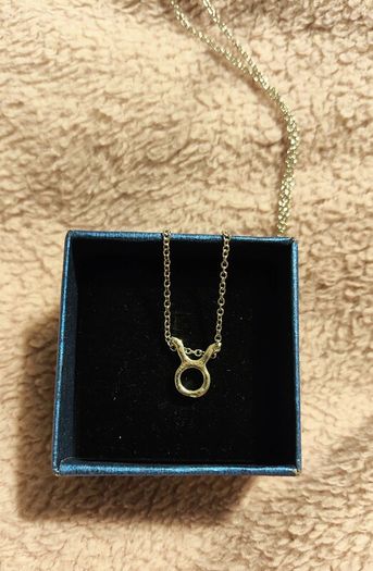 Taurus Zodiac Necklace Celestial & Personal Charm