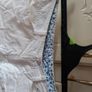 ladies shorts Image 2
