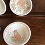 Vintage set of six nature conservation cereal bowls by John Tams Image 3