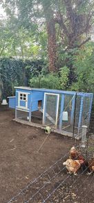 Chicken coop