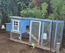 Chicken coop