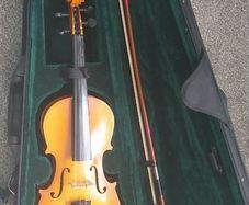 Violin