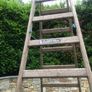 painters ladder Image 2