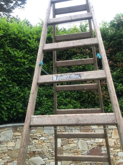 painters ladder