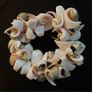 Mauritius shell bracelet Image 4