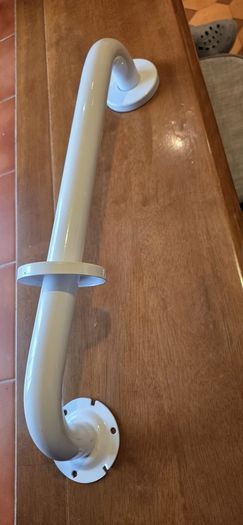 mobility hand rail