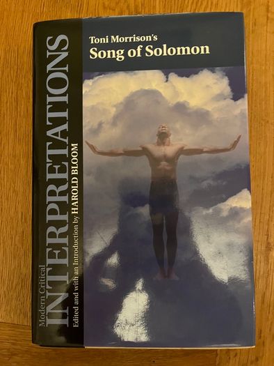 Harold Bloom Modern Critical Interpretations Book Collection
