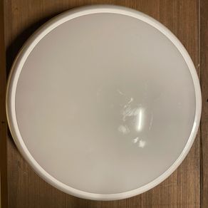 Ovia LED Light Ceiling - Internal Bathroom Light
