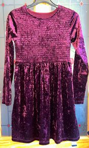 Bnwt size 31-32" wine velour shirred dress