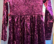Bnwt size 31-32" wine velour shirred dress